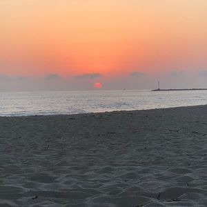 Meet your Posher, Luis